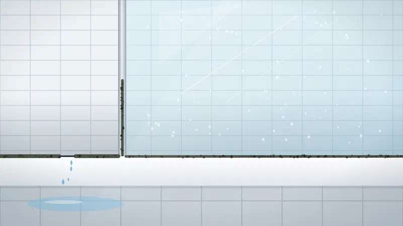 Leaking shower? Repair within 24 hours